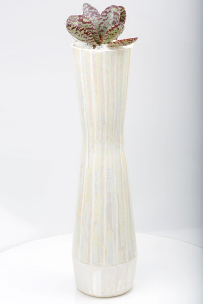 Vase : Mother of Pearl : Succulent 1