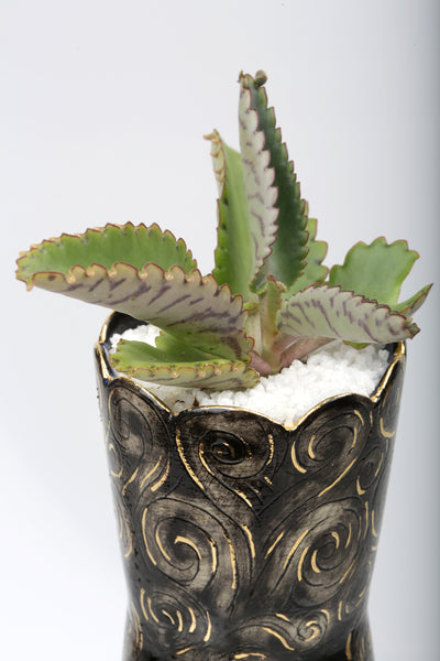 Vase : Hydra Skull Octopus