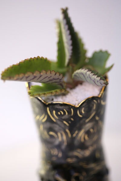 Vase : Hydra Skull Octopus