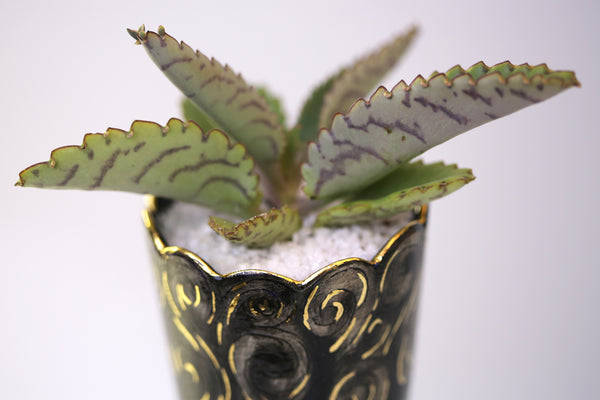 Vase : Hydra Skull Octopus