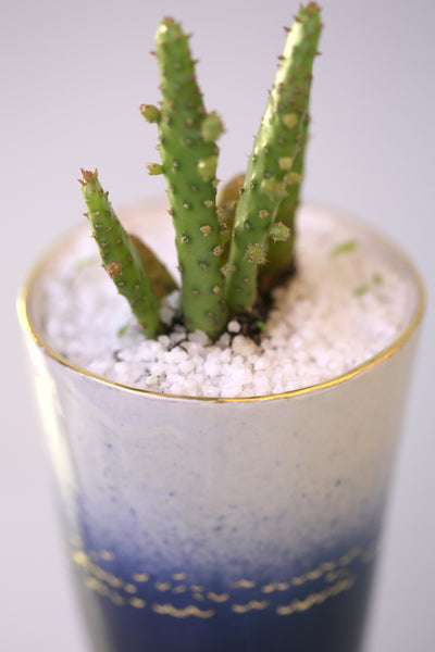 Vase : A Mother's Love