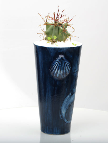Vase : Stop Killing Mermaids! : Succulent 1