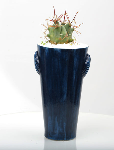 Vase : Stop Killing Mermaids! : Succulent 1