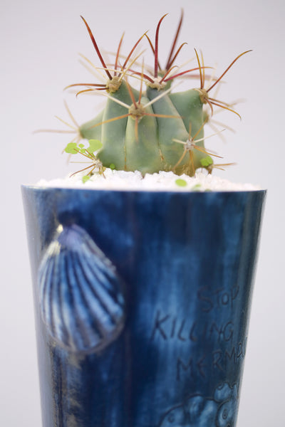 Vase : Stop Killing Mermaids! : Succulent 1