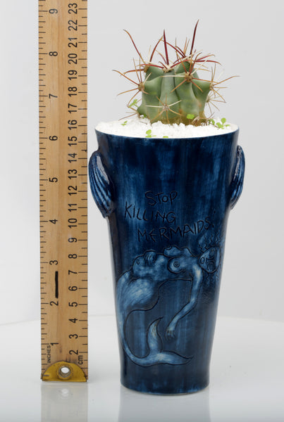 Vase : Stop Killing Mermaids! : Succulent 1