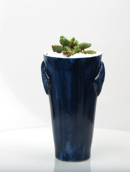 Vase : Stop Killing Mermaids! : Succulent 2