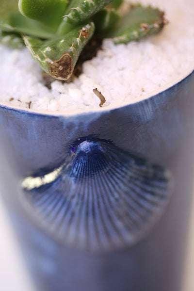 Vase : Stop Killing Mermaids! : Succulent 2