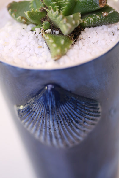 Vase : Stop Killing Mermaids! : Succulent 2