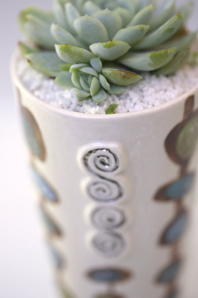 Vase : Social Media : Monolithic Society : Succulent
