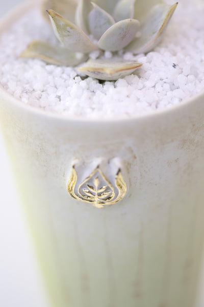 Vase : White with Seahorse theme : Succulent 1