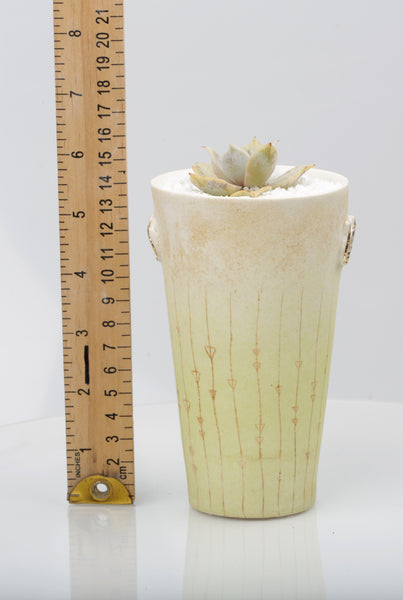 Vase : White with Seahorse theme : Succulent 1