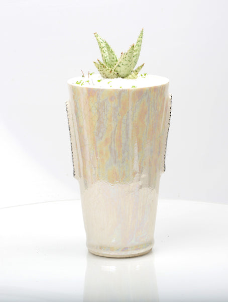 Vase : Mother of Pearl : Succulent 4