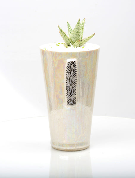 Vase : Mother of Pearl : Succulent 4