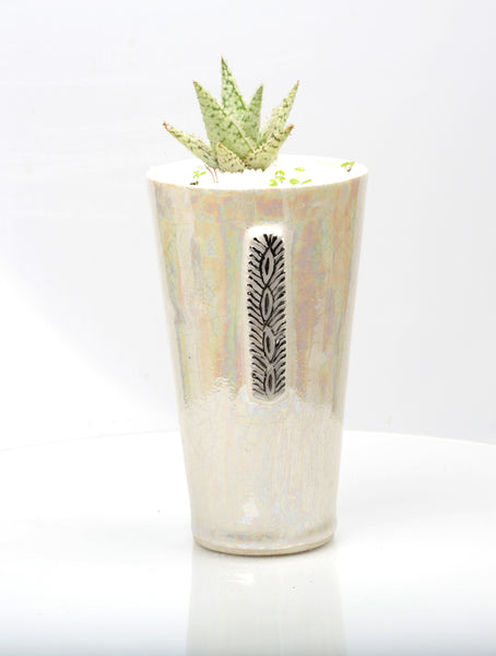 Vase : Crackle glaze : Succulent