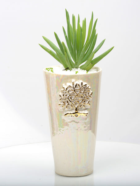 Vase : Mother of Pearl : Succulent 5