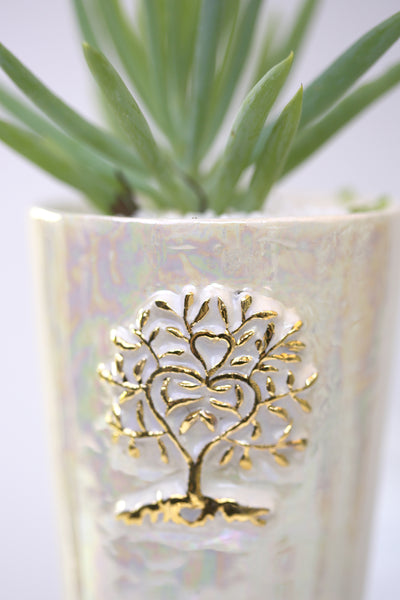 Vase : Mother of Pearl : Succulent 5