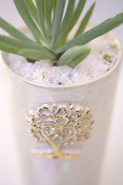 Vase : Mother of Pearl : Succulent 5