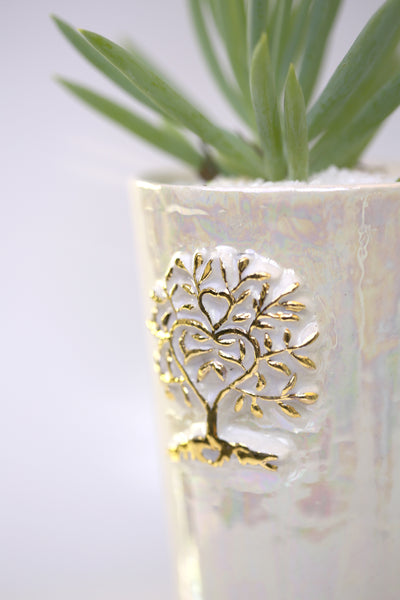 Vase : Mother of Pearl : Succulent 5
