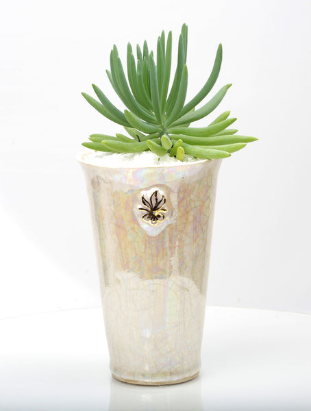 Vase : Mother of Pearl : Succulent 7