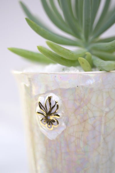 Vase : Mother of Pearl : Succulent 7