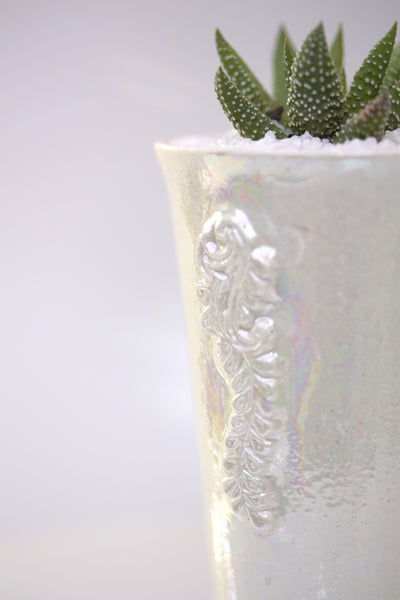 Vase : Mother of Pearl : Succulent 8