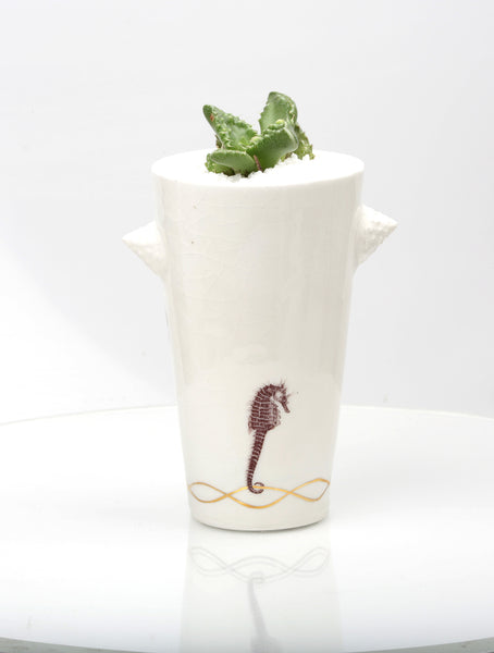 Vase : White with Seahorse theme : Succulent 2
