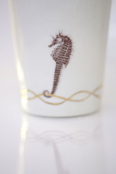 Vase : White with Seahorse theme : Succulent 2