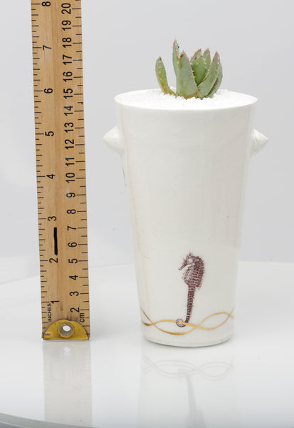 Vase : White with Seahorse theme : Succulent 3