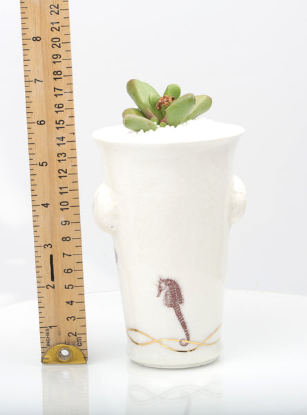 Vase : White with Seahorse theme : Succulent 4