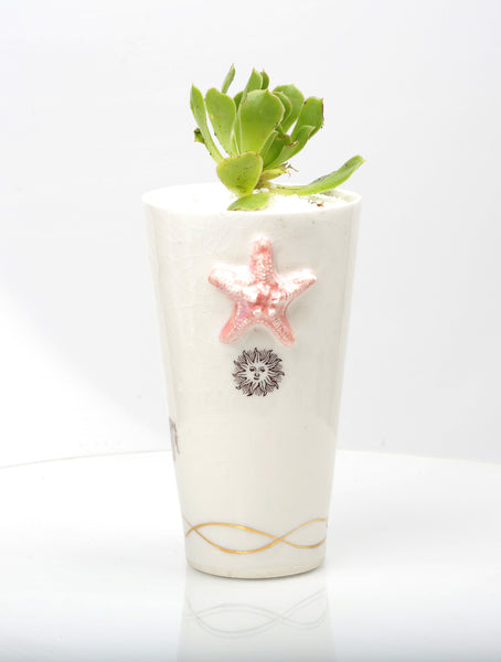 Vase : White with Seahorse theme : Succulent 6