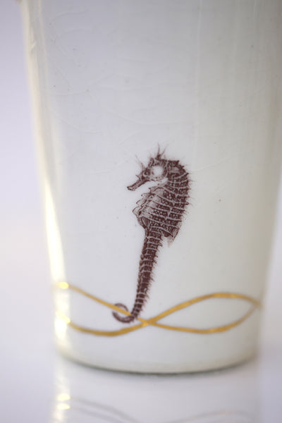 Vase : White with Seahorse theme : Succulent 6