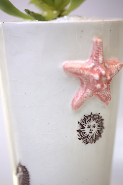 Vase : White with Seahorse theme : Succulent 6