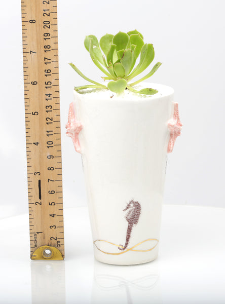 Vase : White with Seahorse theme : Succulent 6