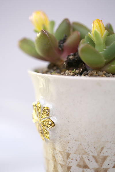 Vase :African Texture : Succulent 2