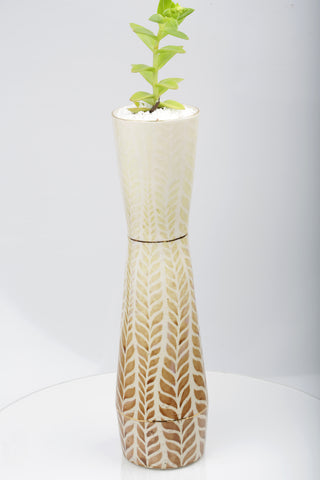 Vase : Fern : Succulent