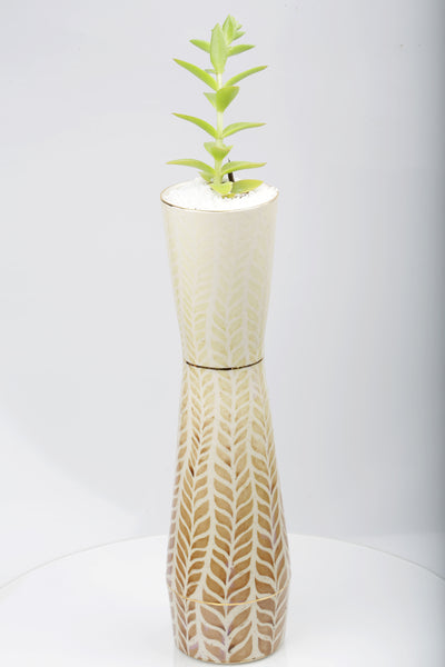 Vase : Fern : Succulent