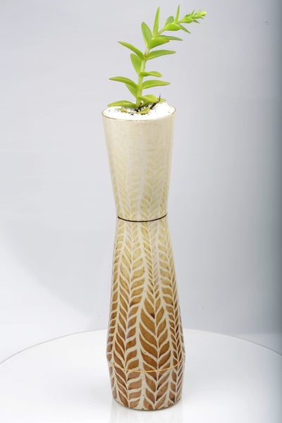 Vase : Fern : Succulent