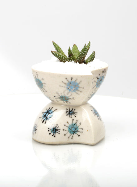 Vase : 50's throwback : Succulent