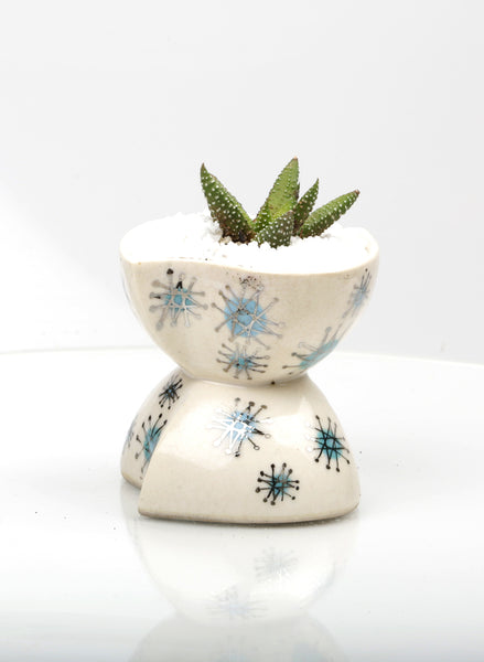 Vase : 50's throwback : Succulent