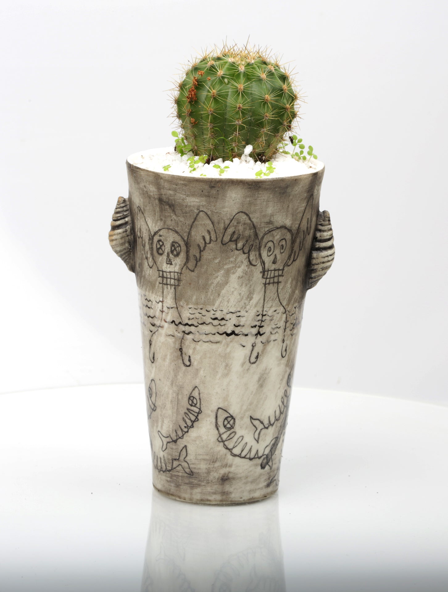 Vase : How we consummate Mother Earth : Succulent 1