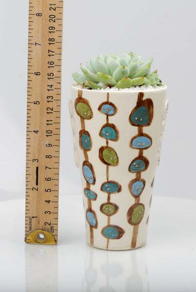Vase : Social Media : Monolithic Society : Succulent