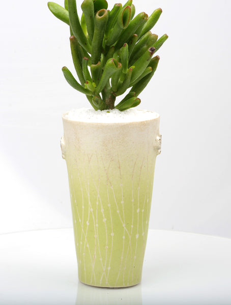Vase : Fynbos green : Succulent 1
