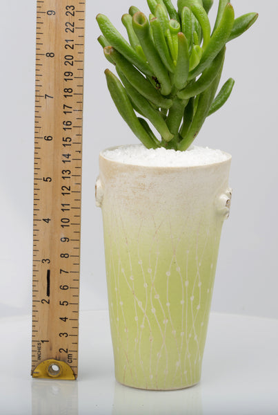 Vase : Fynbos green : Succulent 1