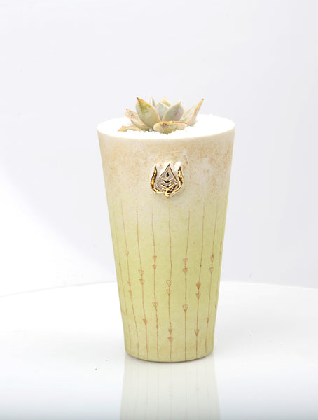 Vase : White with Seahorse theme : Succulent 1