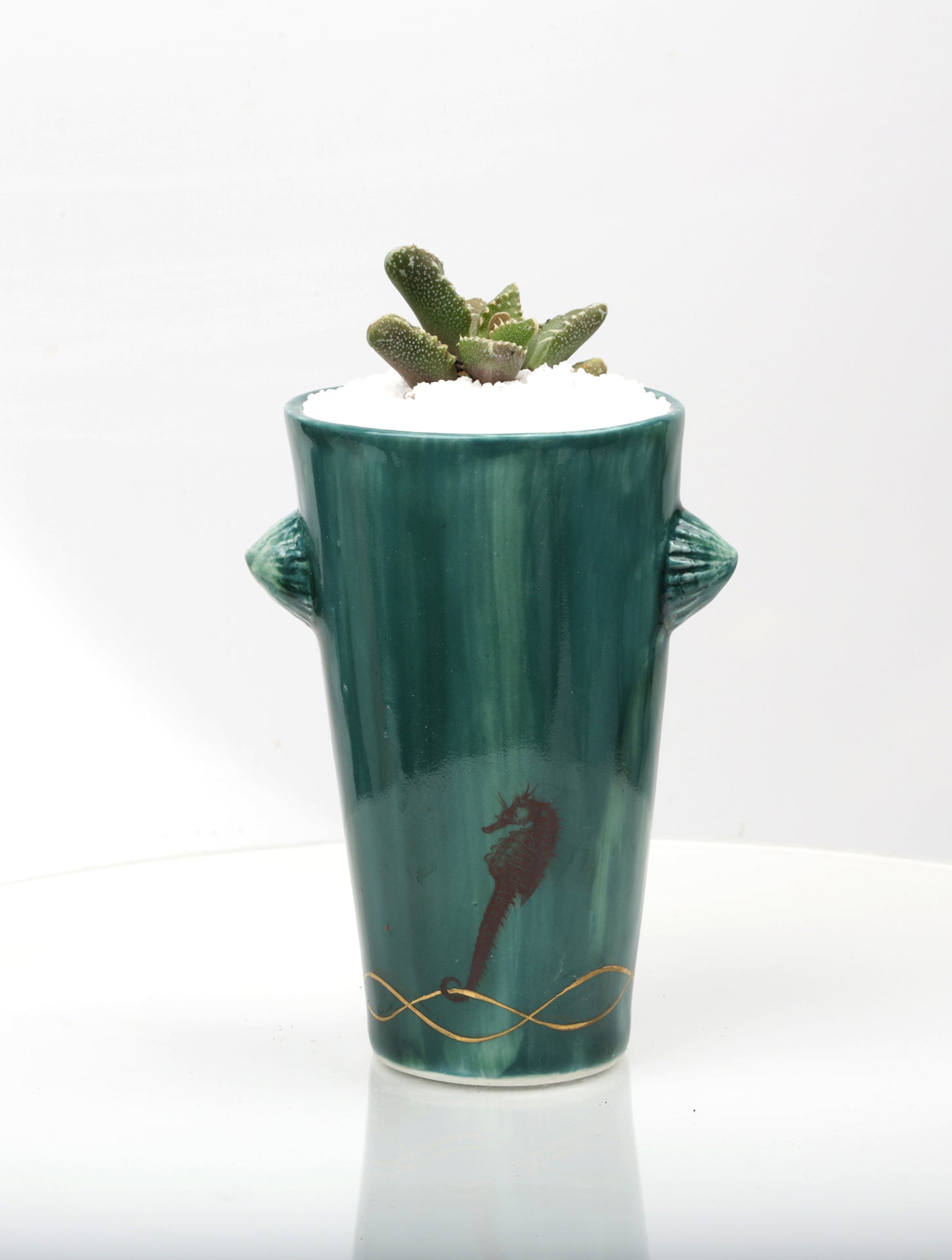 Vase : Jade with Seahorse theme : Succulent 1