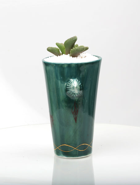 Vase : Jade with Seahorse theme : Succulent 1