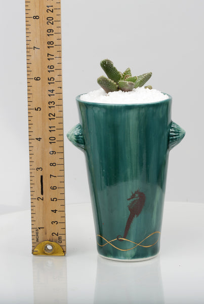 Vase : Jade with Seahorse theme : Succulent 1