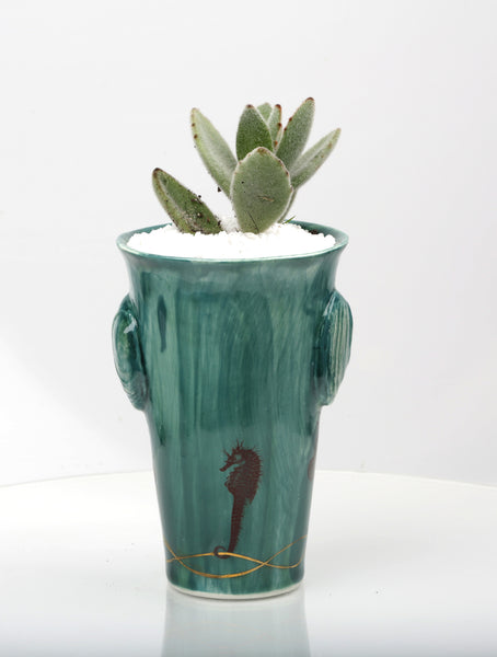 Vase : Jade with Seahorse theme : Succulent 2