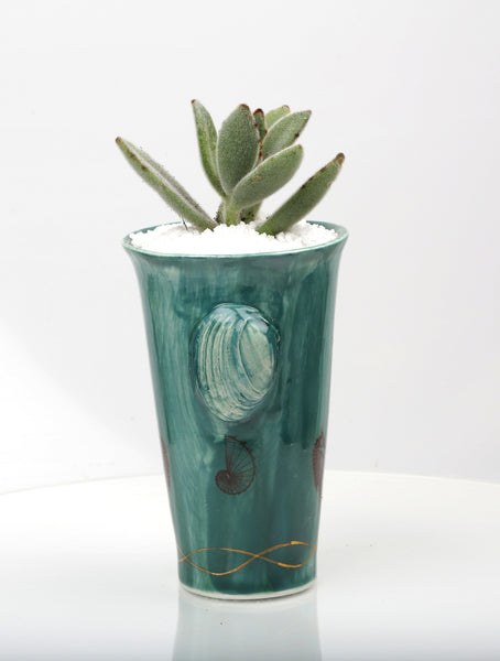 Vase : Jade with Seahorse theme : Succulent 2