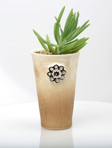 Vase : Fynbos brown : Succulent 2